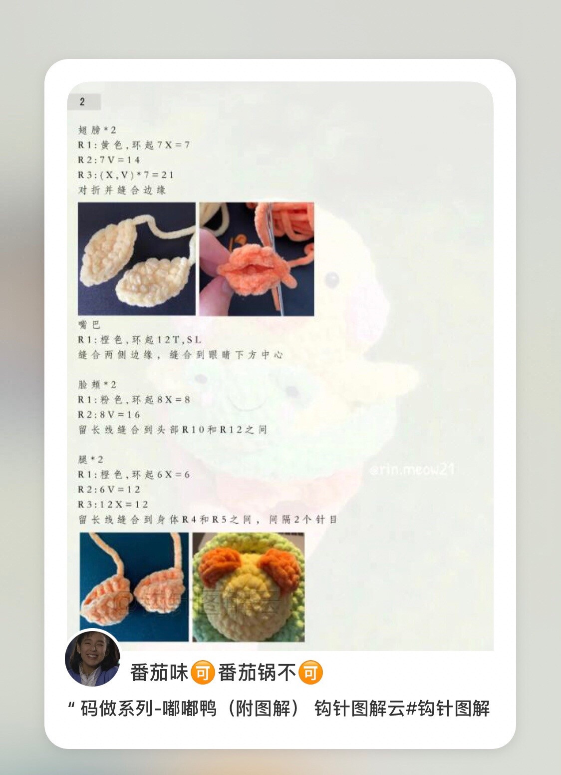 Cute Crochet Duckling in Frog Ring Lifebuoy Amigurumi Pattern