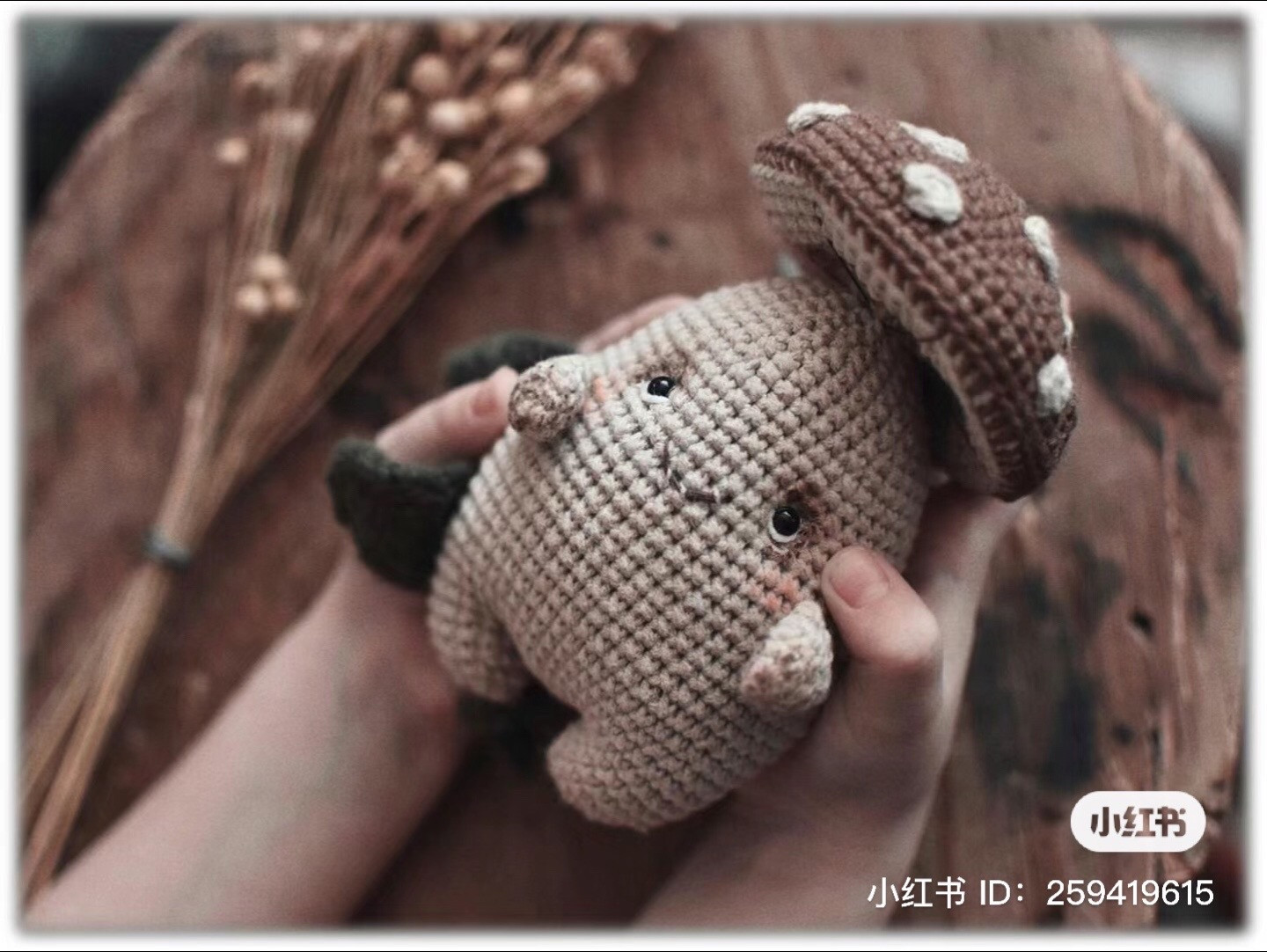 Cute Crochet Mushroom Amigurumi Pattern Chart: Brown and Beige Stuffed Doll with Spotted Cap