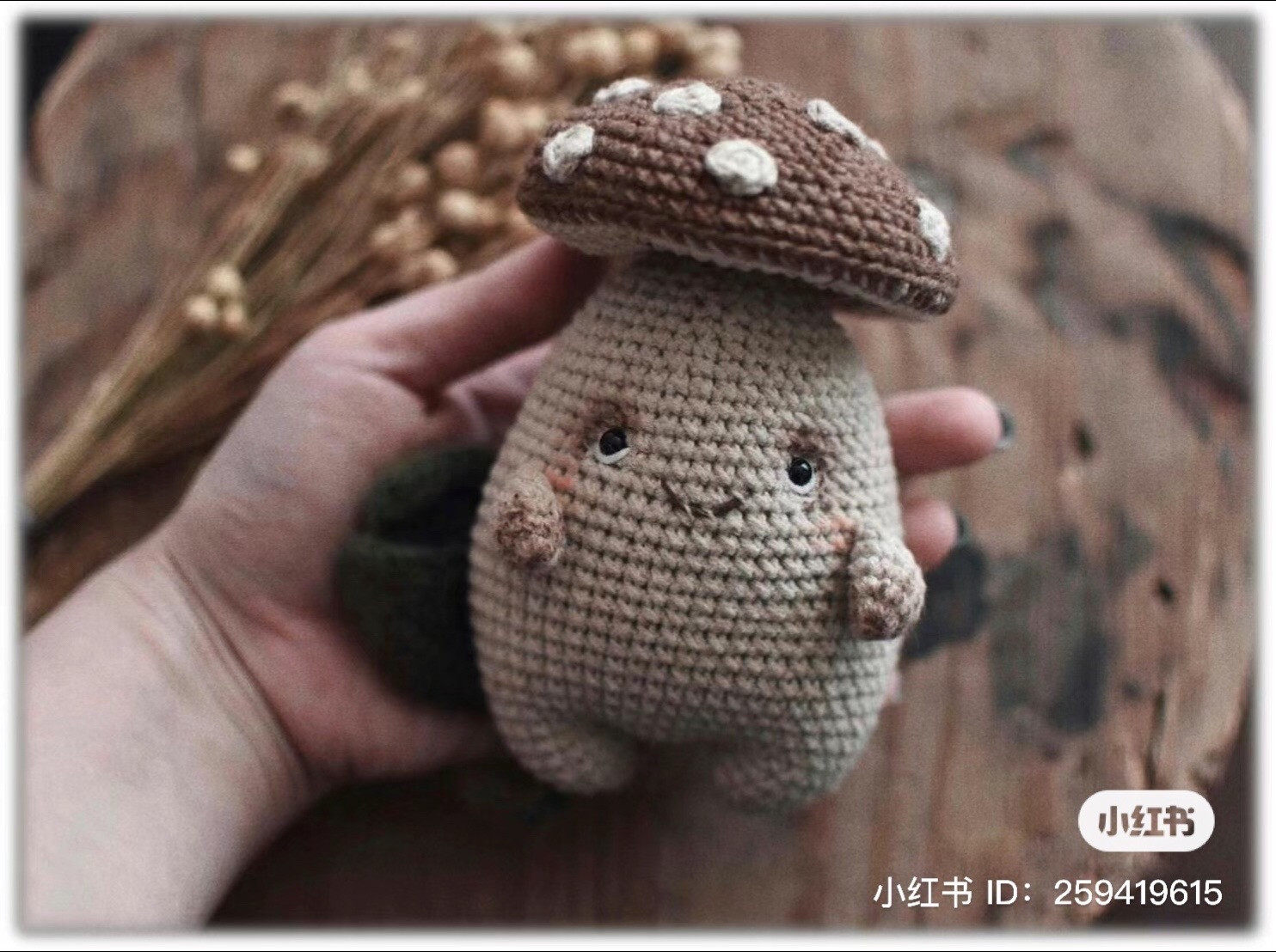 Cute Crochet Mushroom Amigurumi Pattern Chart: Brown and Beige Stuffed Doll with Spotted Cap
