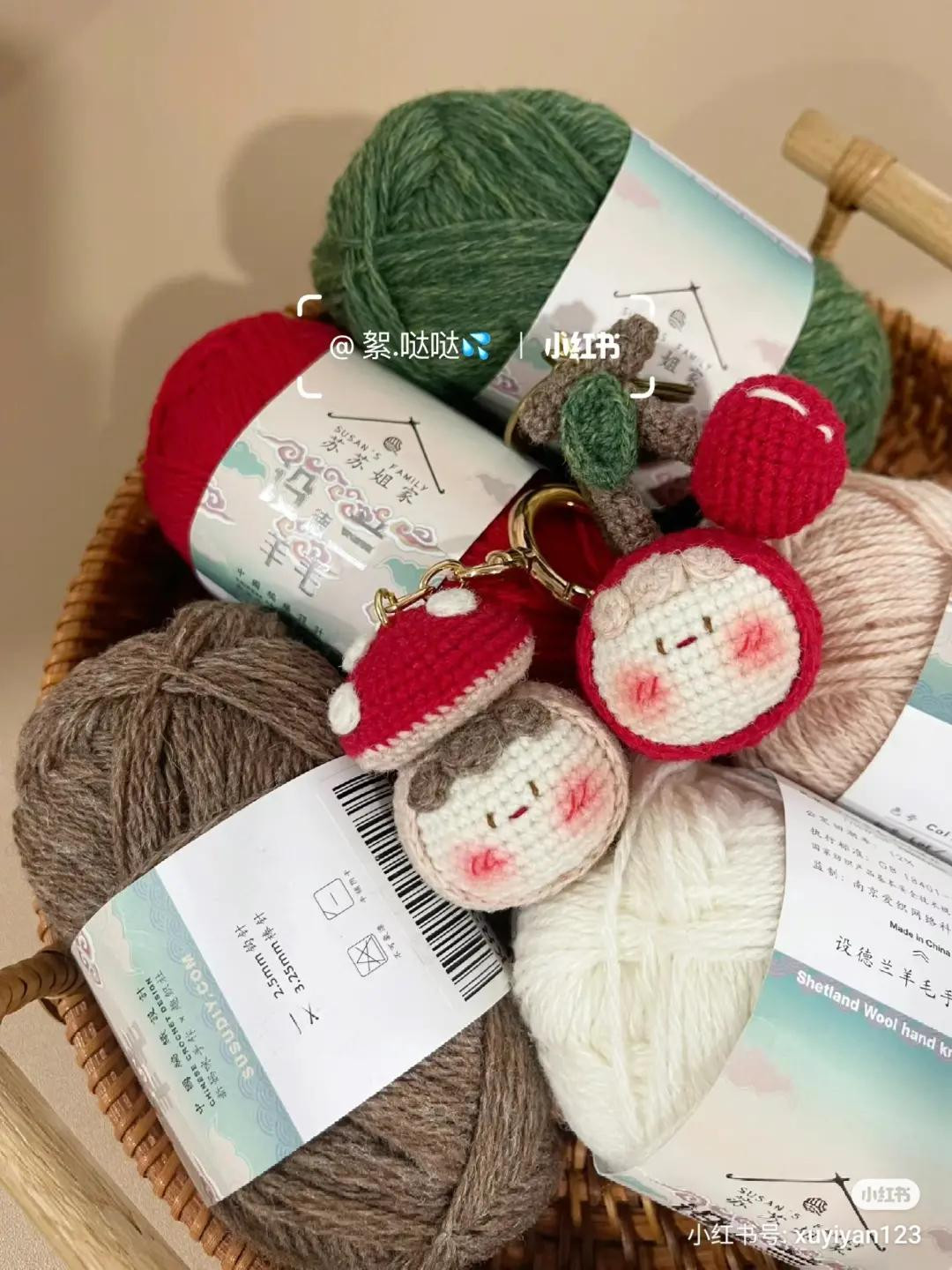 Cute Crochet Mushroom and Cherry Dumpling Keychains Pattern Chart with Instructions