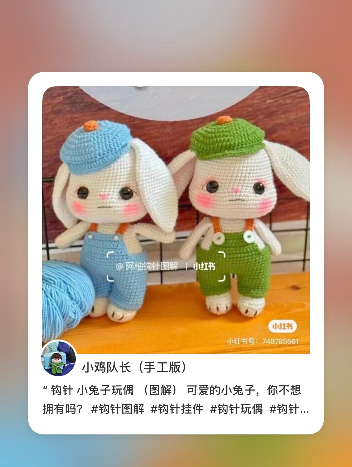 Cute Crochet Rabbit Doll Amigurumi Pattern Chart with Blue and Green Overalls