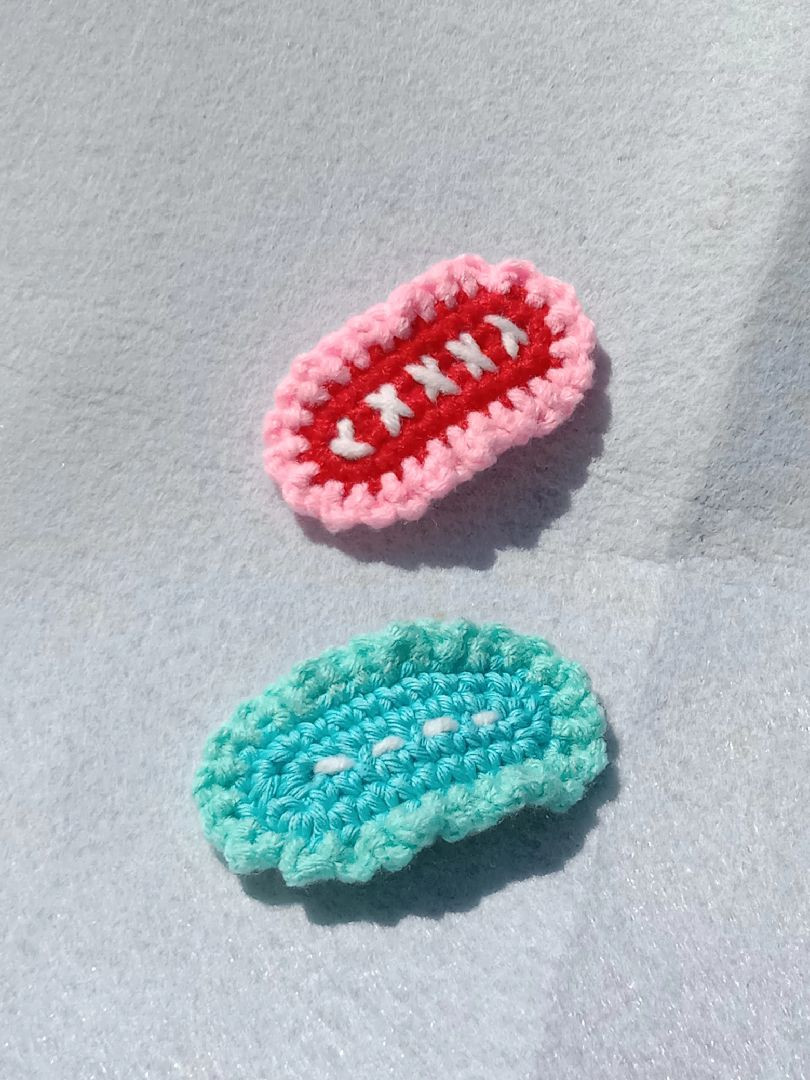 Cute Crochet Strawberry and Chicken Flat Charts