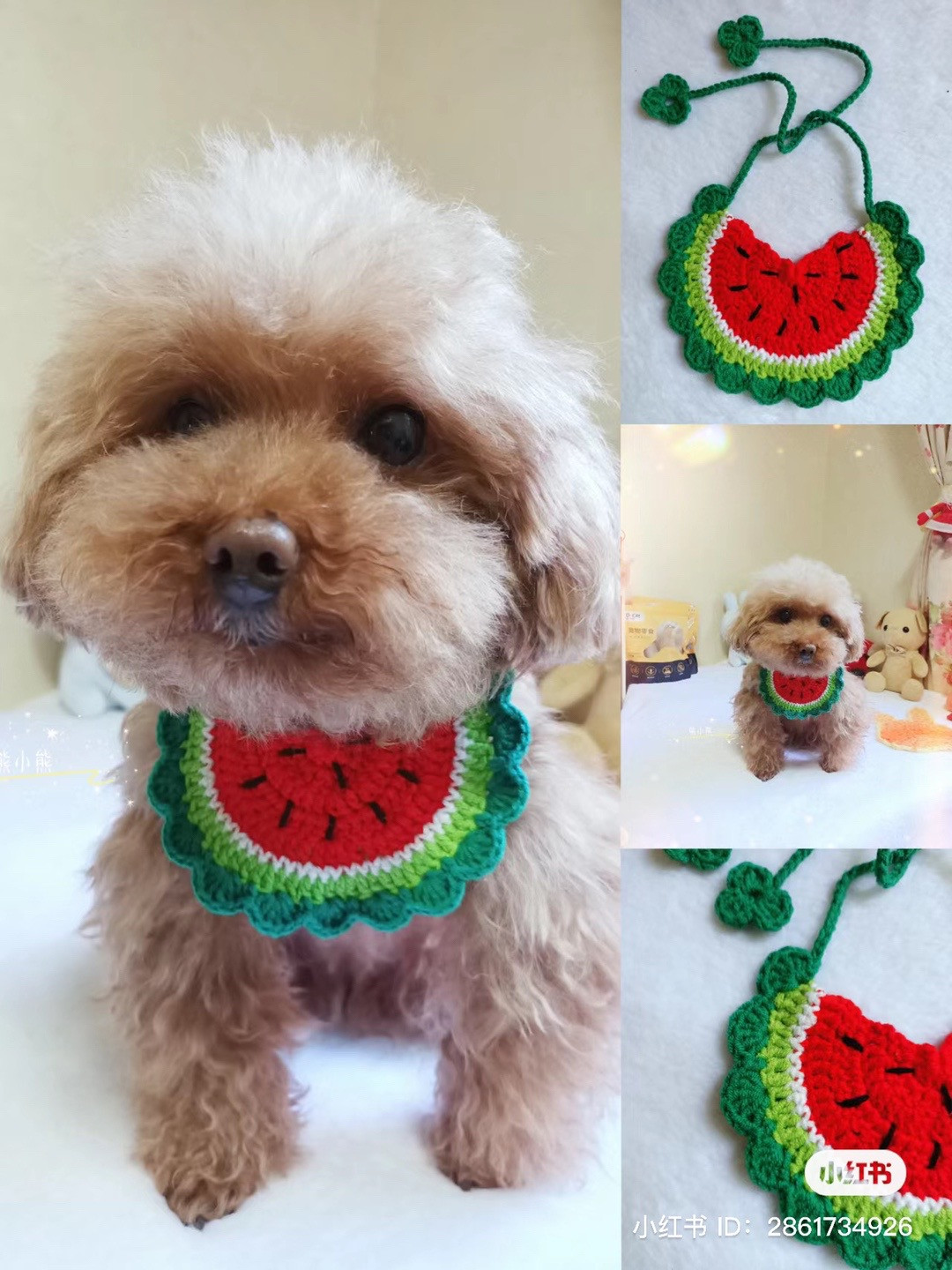 Cute Crochet Watermelon Bib Pattern for Dogs