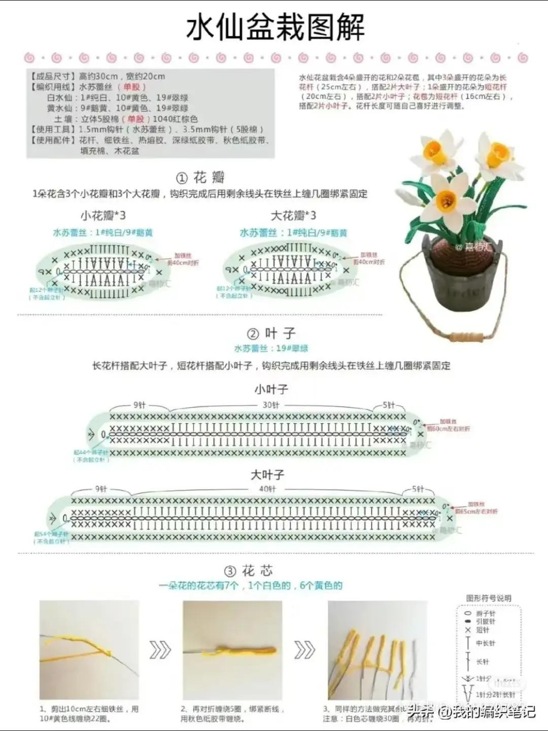 Daffodil Flower Crochet Pattern with Chart