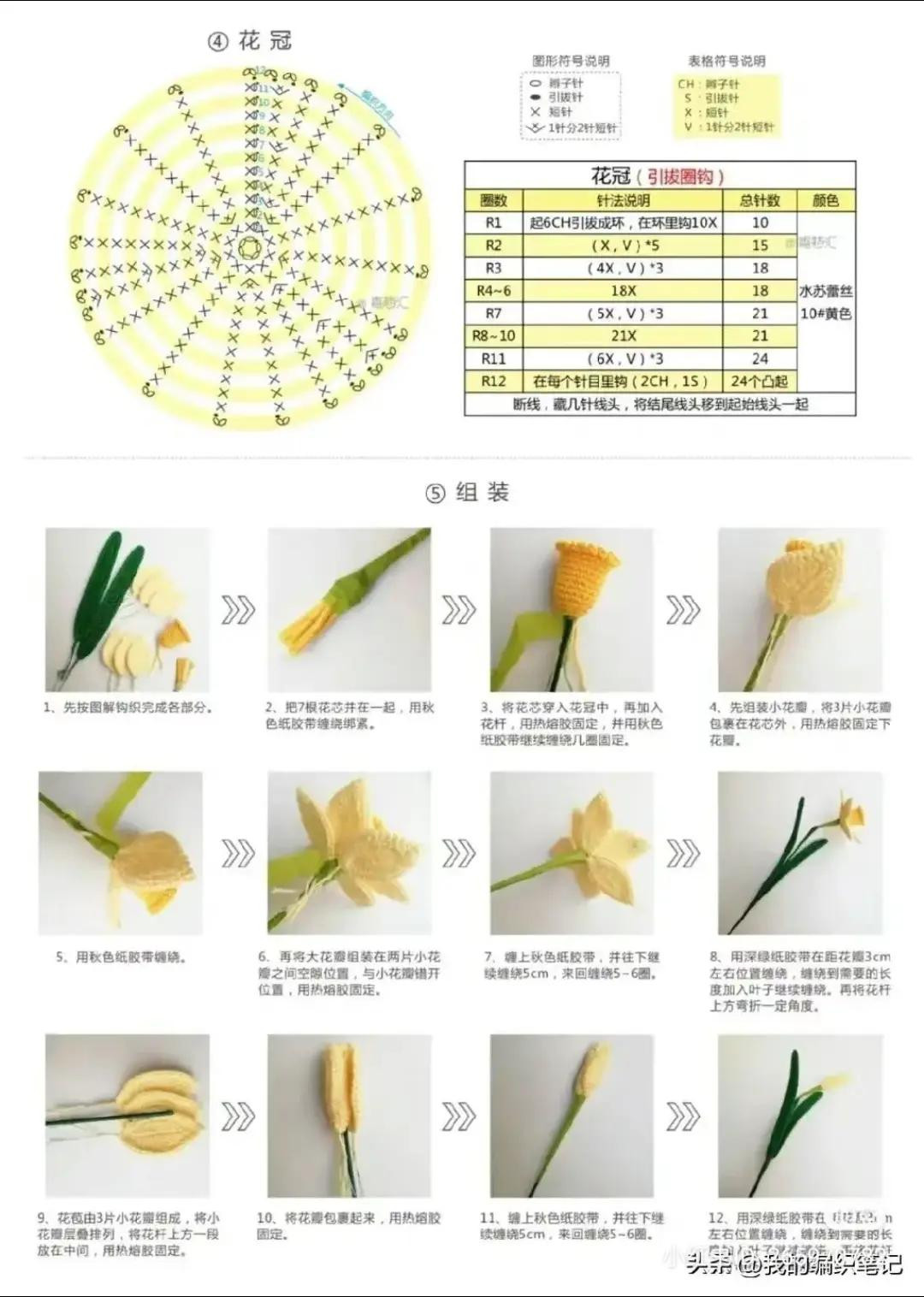 Daffodil Flower Crochet Pattern with Chart