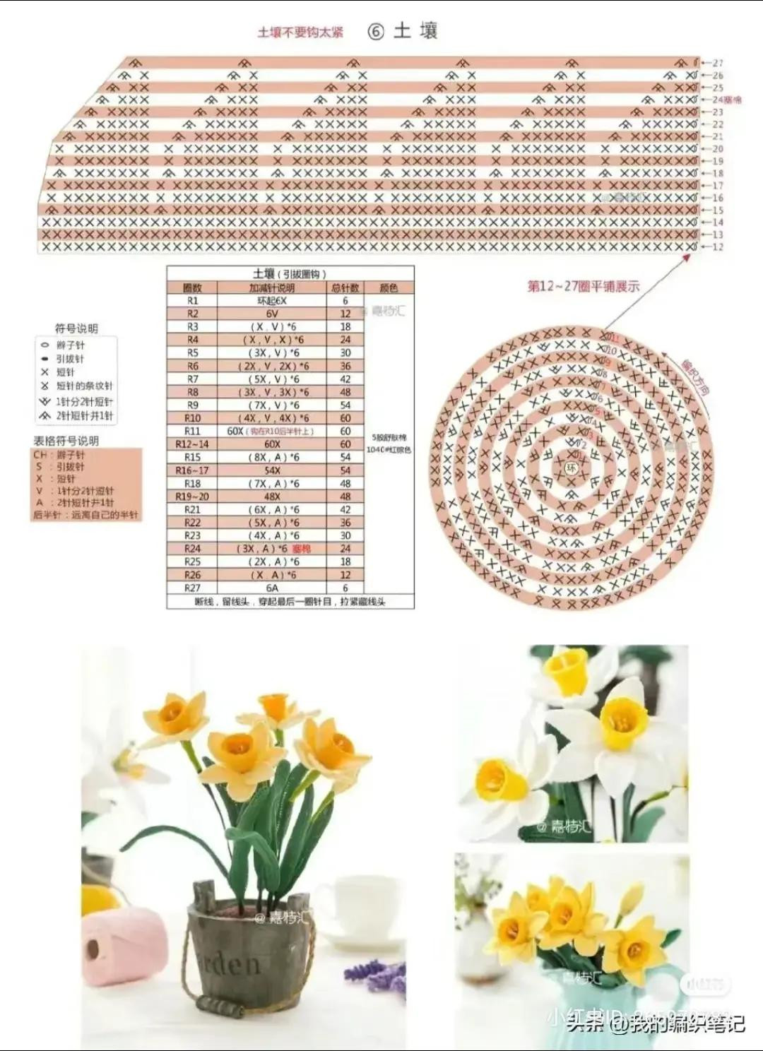 Daffodil Flower Crochet Pattern with Chart