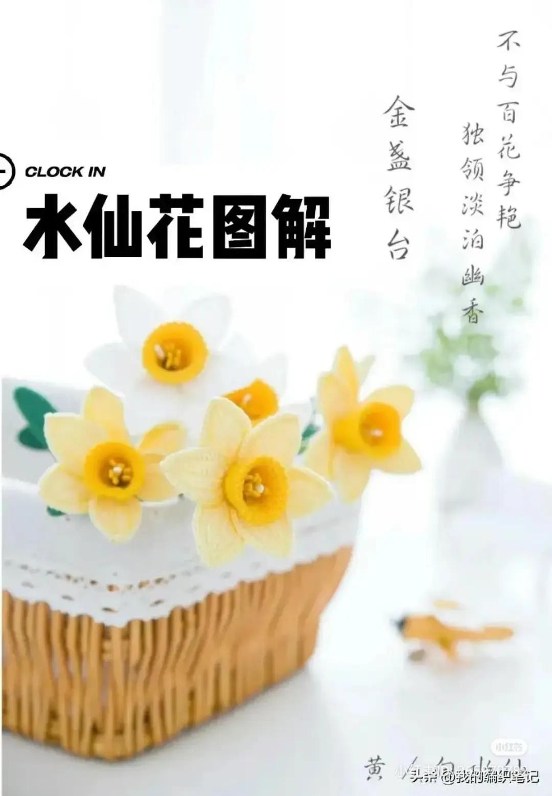 Daffodil Flower Crochet Pattern with Chart