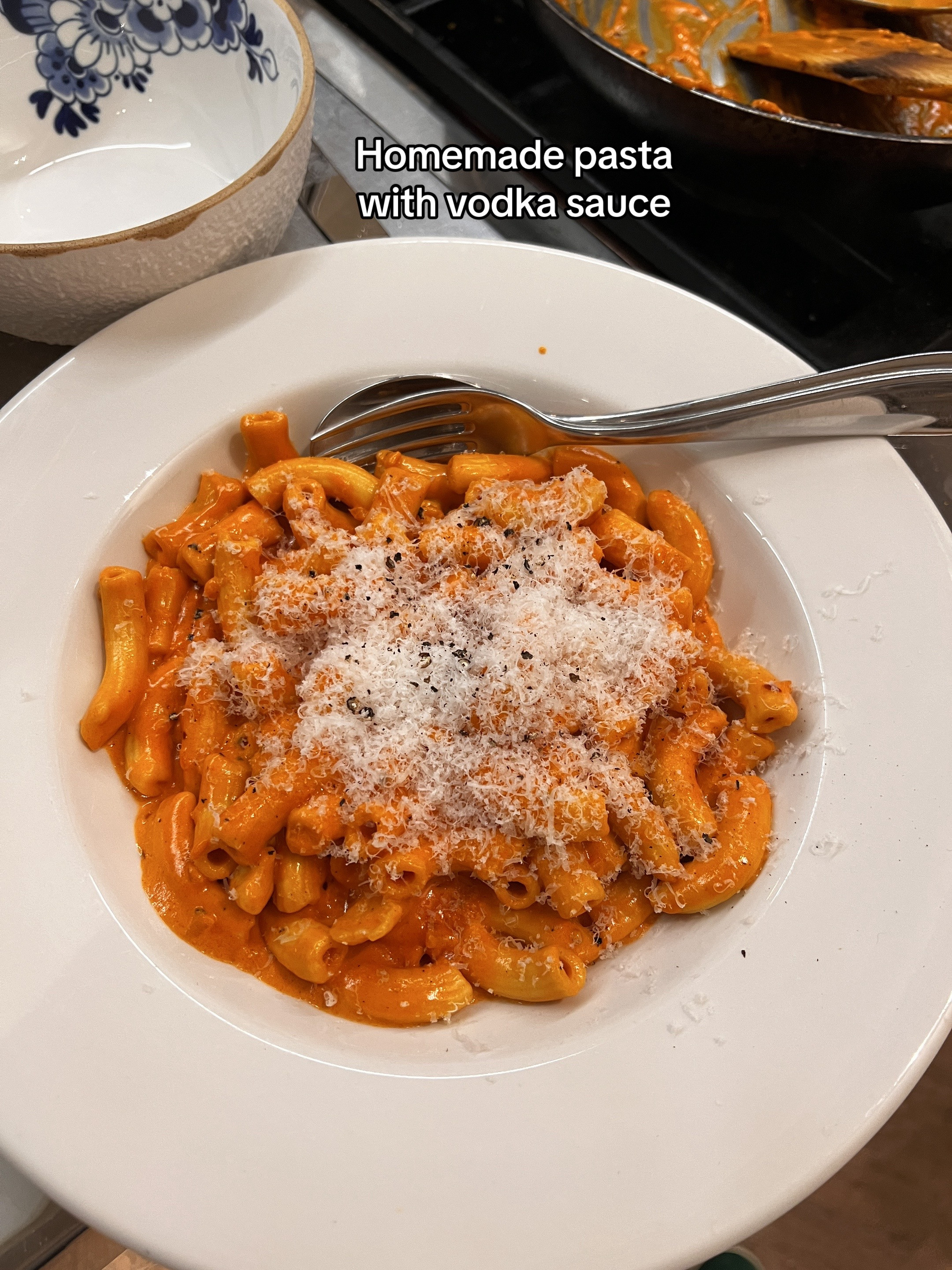 Delicious homemade meal ideas featuring Orange Chicken, Gyoza, Tso's Chicken, Curry, and Pasta with Vodka Sauce