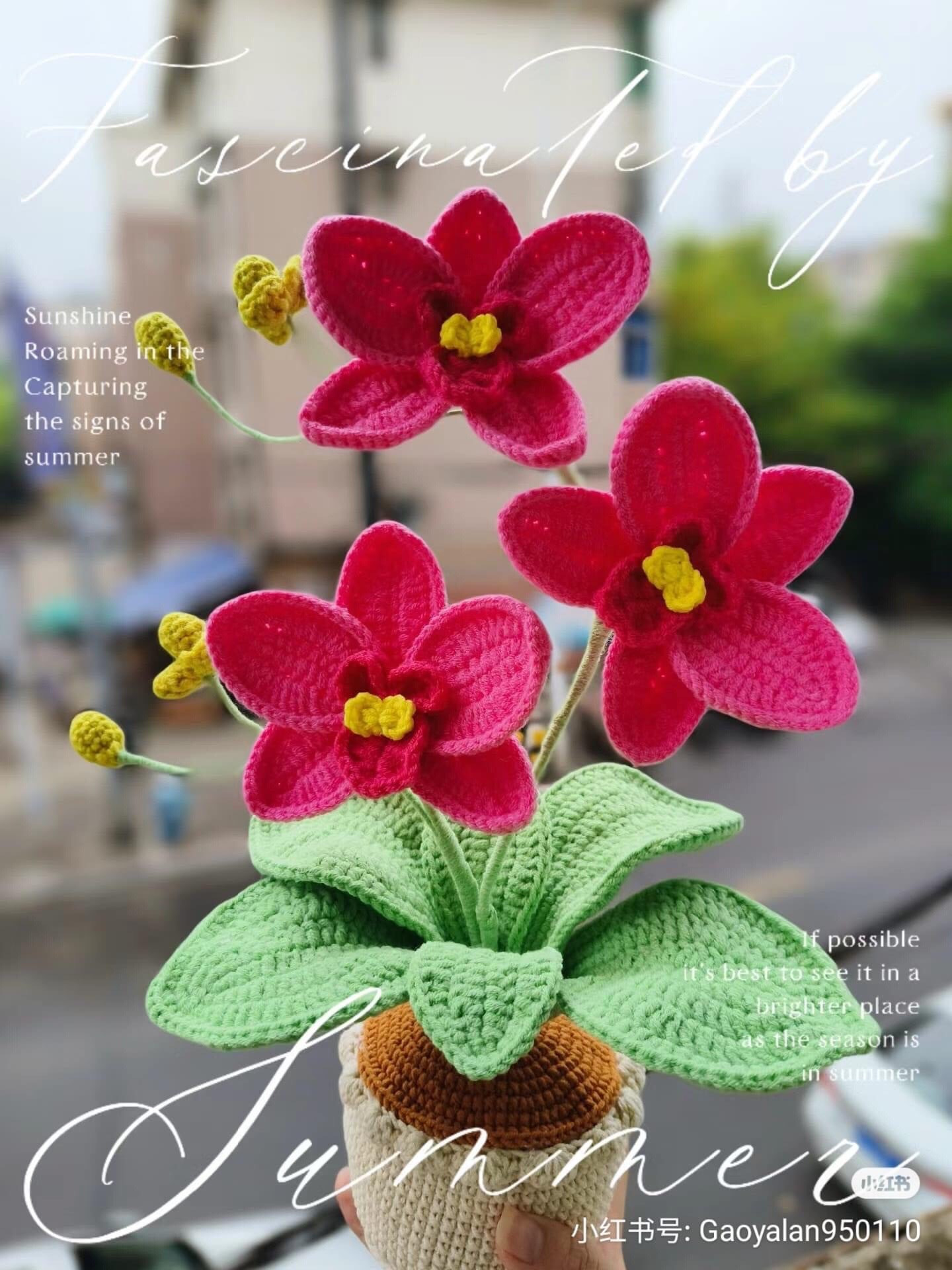 Detailed Crochet Pattern for Pink Butterfly Orchid Plant with Green Leaves and Pot