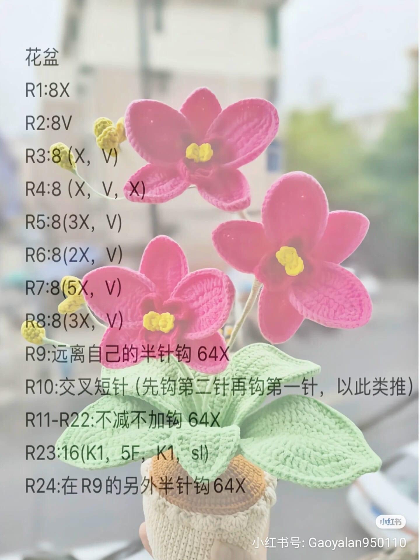 Detailed Crochet Pattern for Pink Butterfly Orchid Plant with Green Leaves and Pot