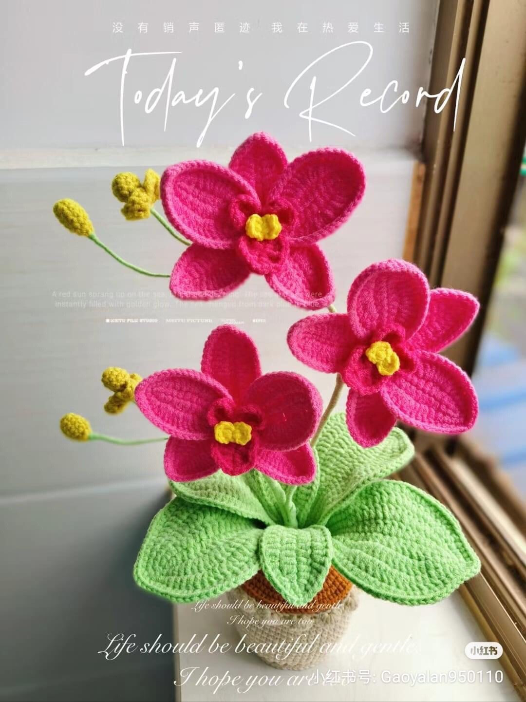 Detailed Crochet Pattern for Pink Butterfly Orchid Plant with Green Leaves and Pot