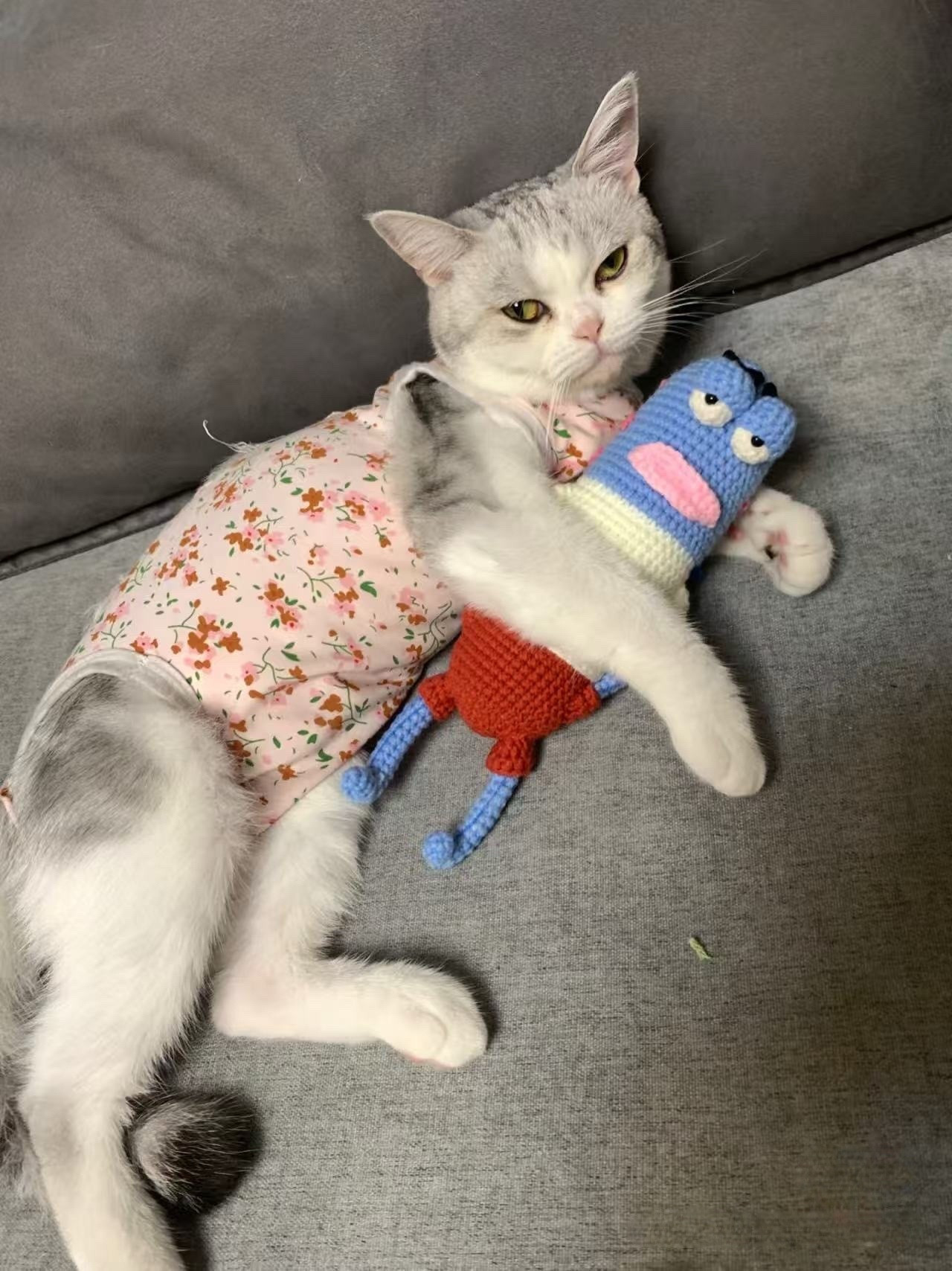 Diagrama de Crochê do Peixe Estiloso (Incisivo) - Bob Esponja