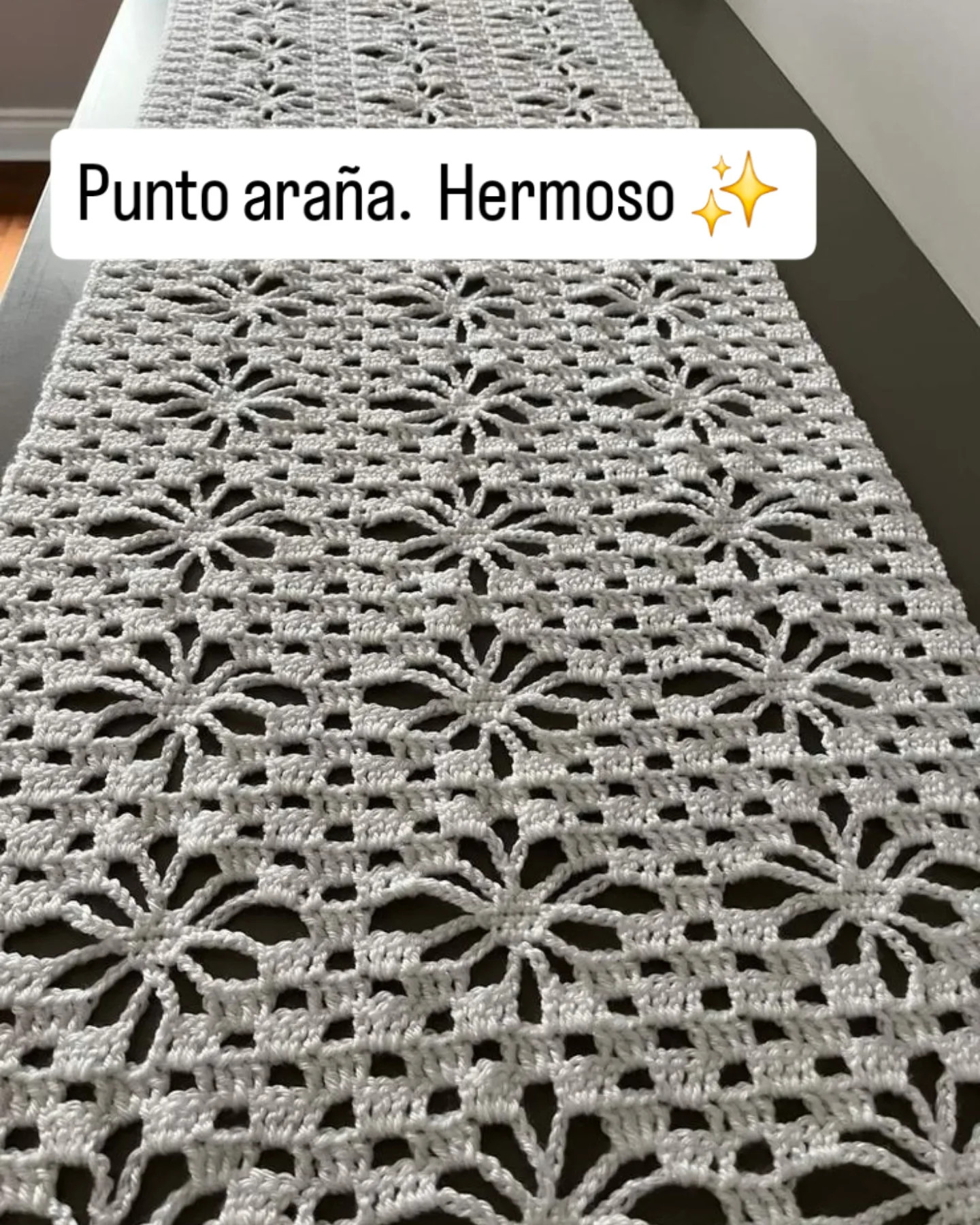Esquema de punto araña hermoso para decoración del hogar