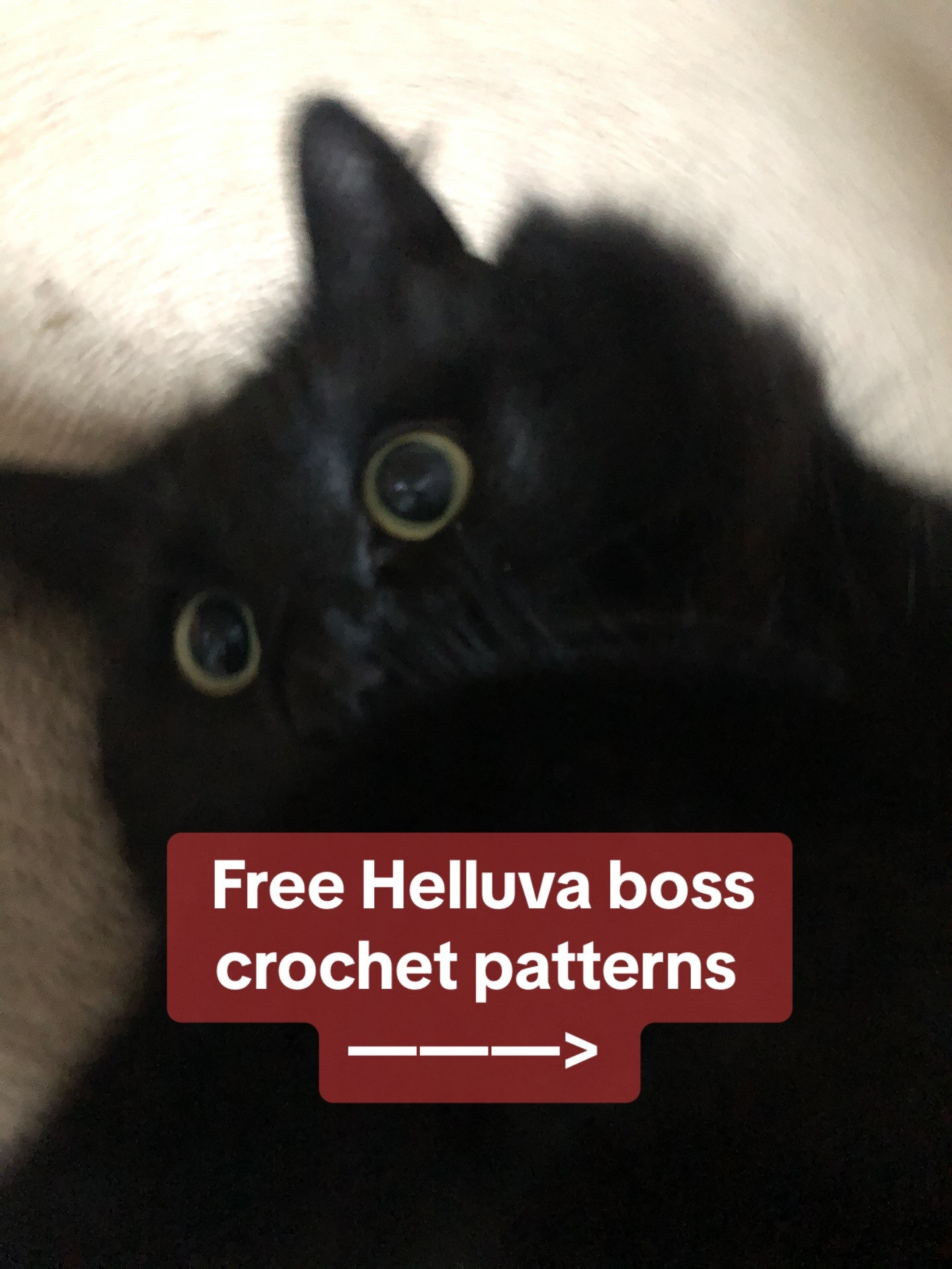 Free Blitzo Millie Moxxie Horn Headphone Amigurumi Crochet Patterns