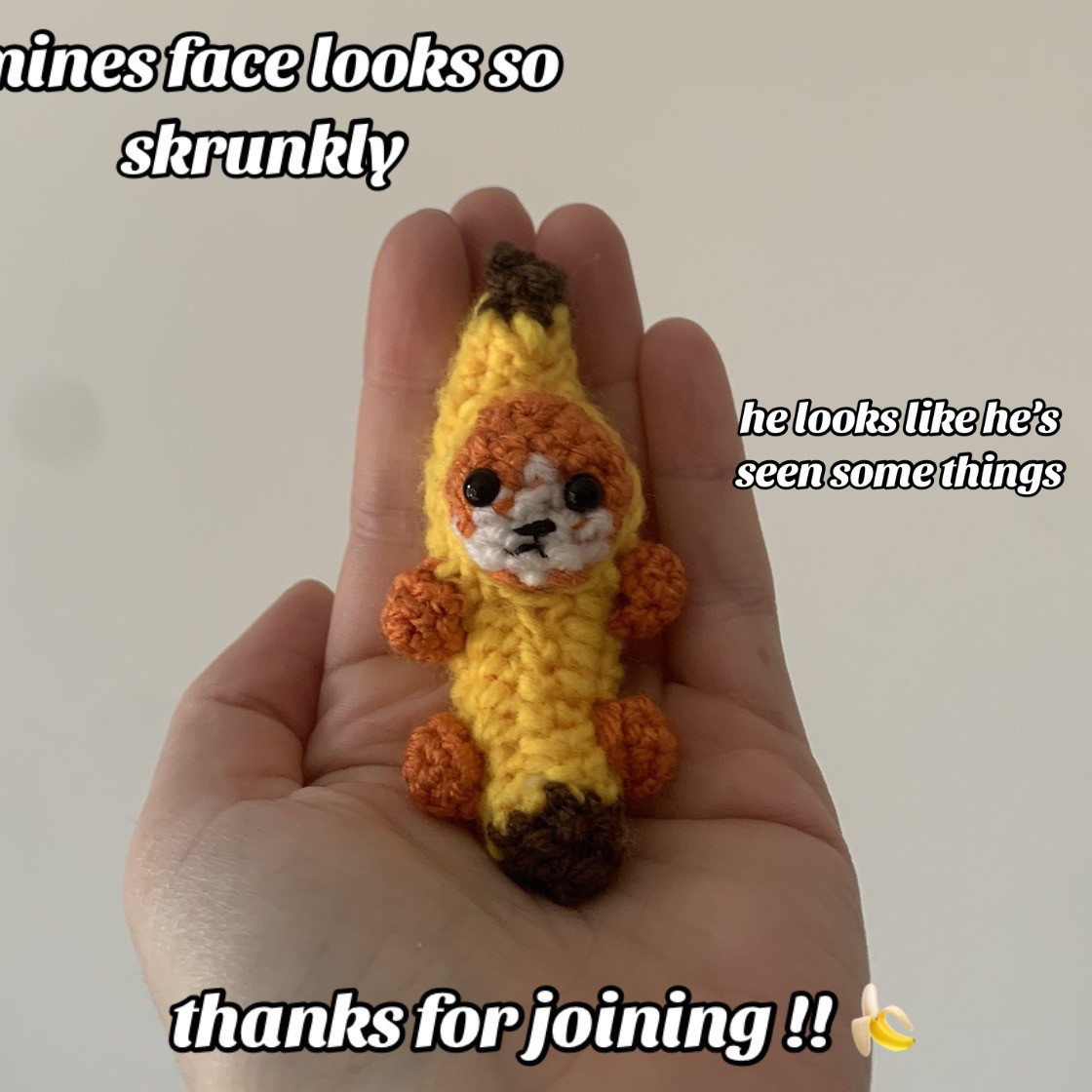 Free Crochet Banana Cat Amigurumi Pattern Review