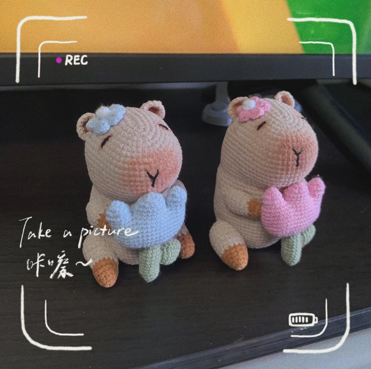 Free Crochet Pattern for Cute Capybara Amigurumi Holding Tulip Flower with Step-by-Step Instructions
