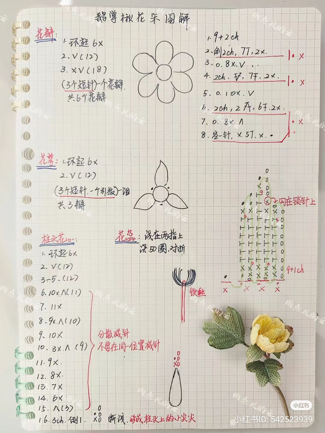 Gooseberry Flower Crochet Chart