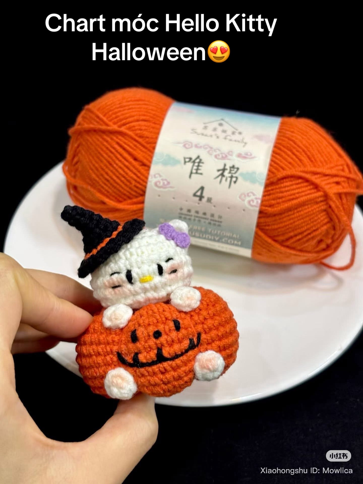 Halloween Pumpkin Kitty Crochet Chart Pattern
