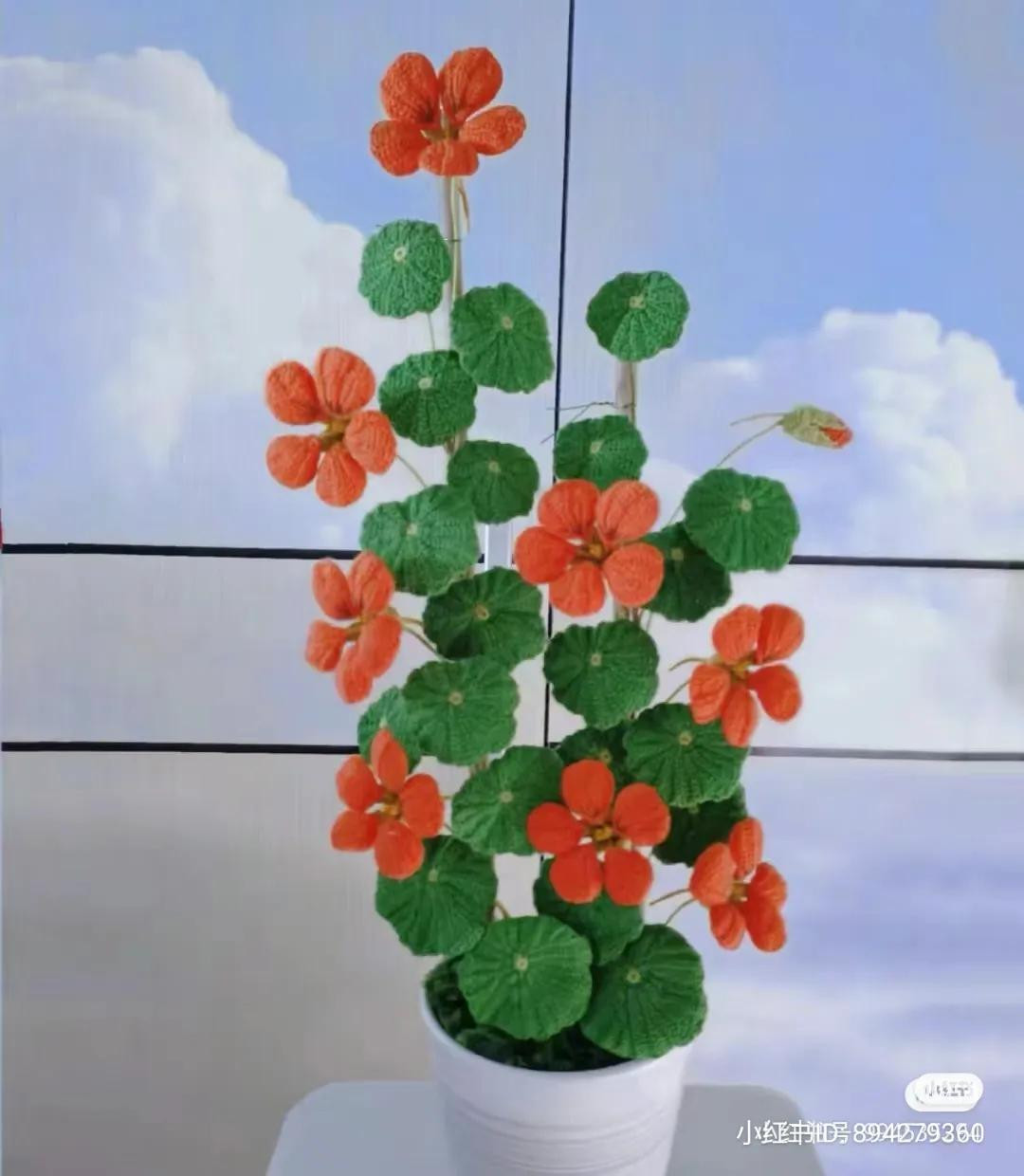 Hand-drawn Crochet Chart for Nasturtium Flowers and Leaves