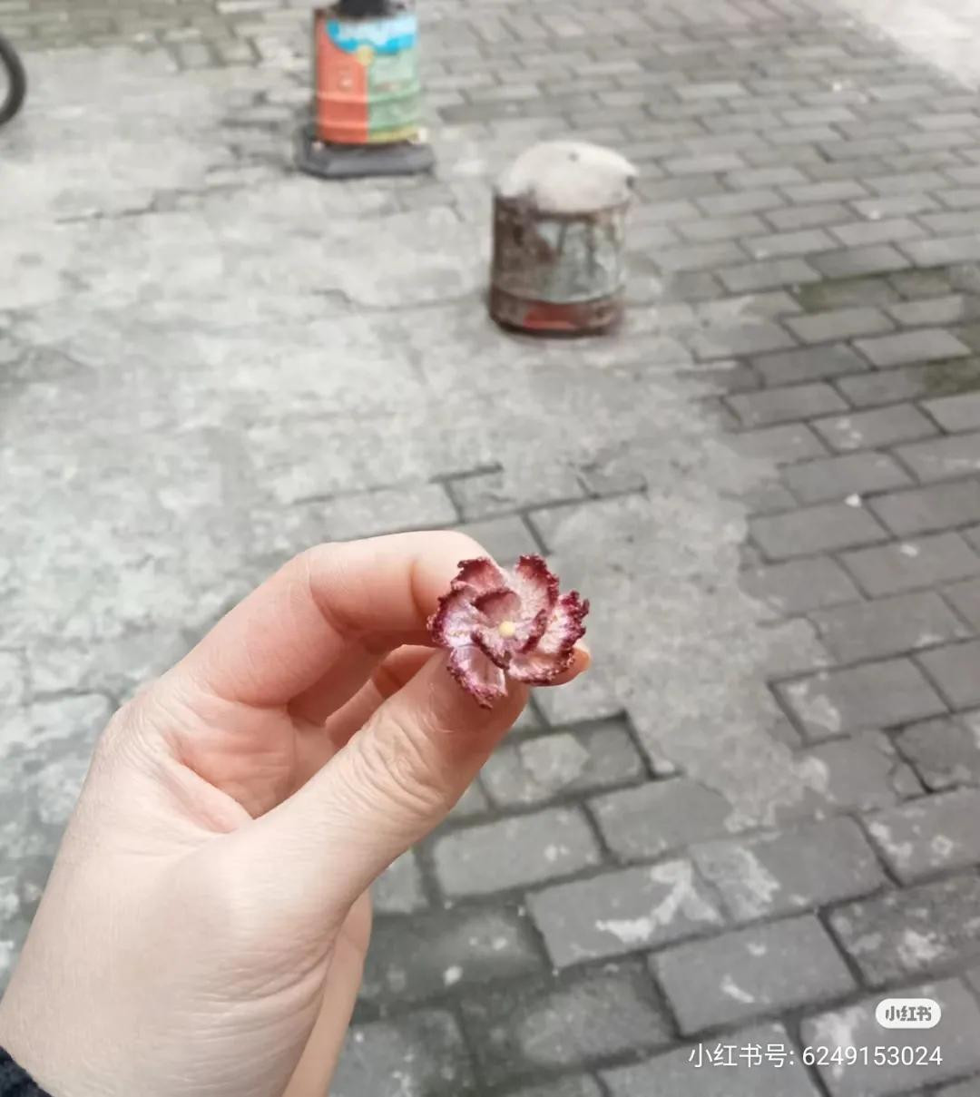 Hand-drawn crochet chart pattern for small flower petals and center