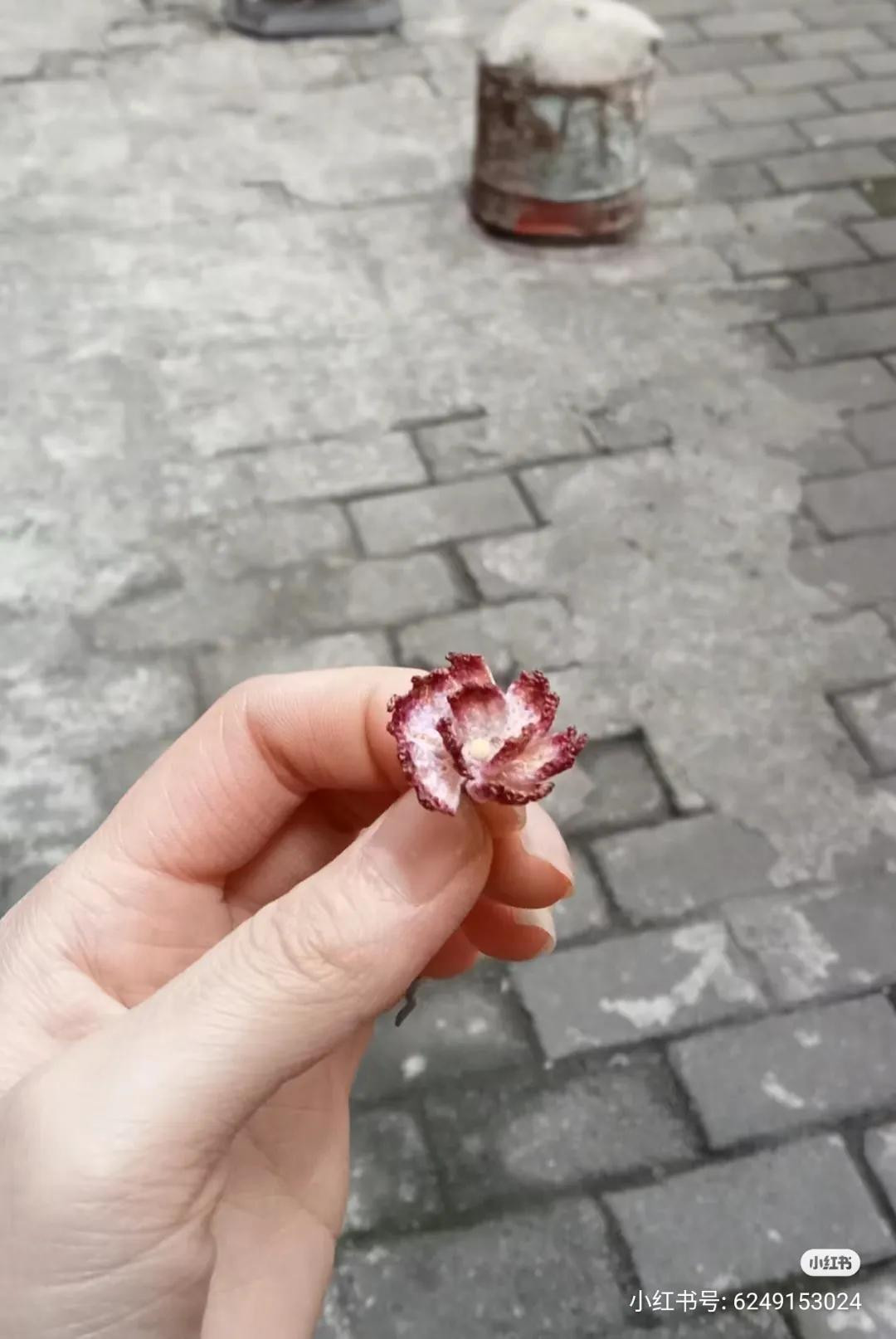 Hand-drawn crochet chart pattern for small flower petals and center