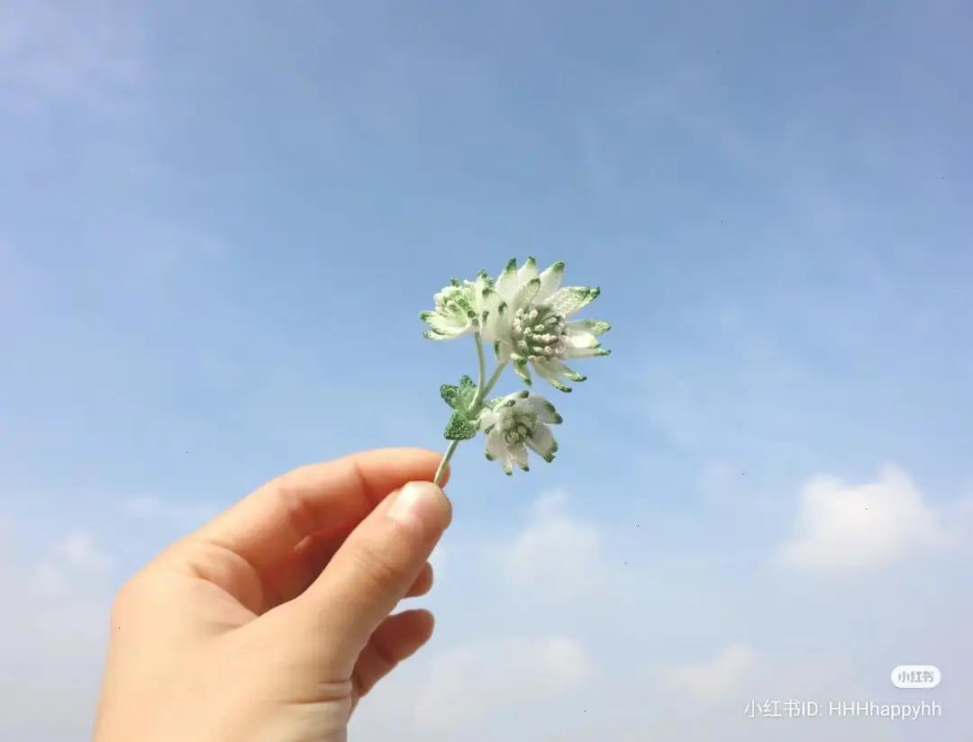 Handmade Crochet Astrantia Major Flower Pattern Chart with Handwritten Instructions and Symbols