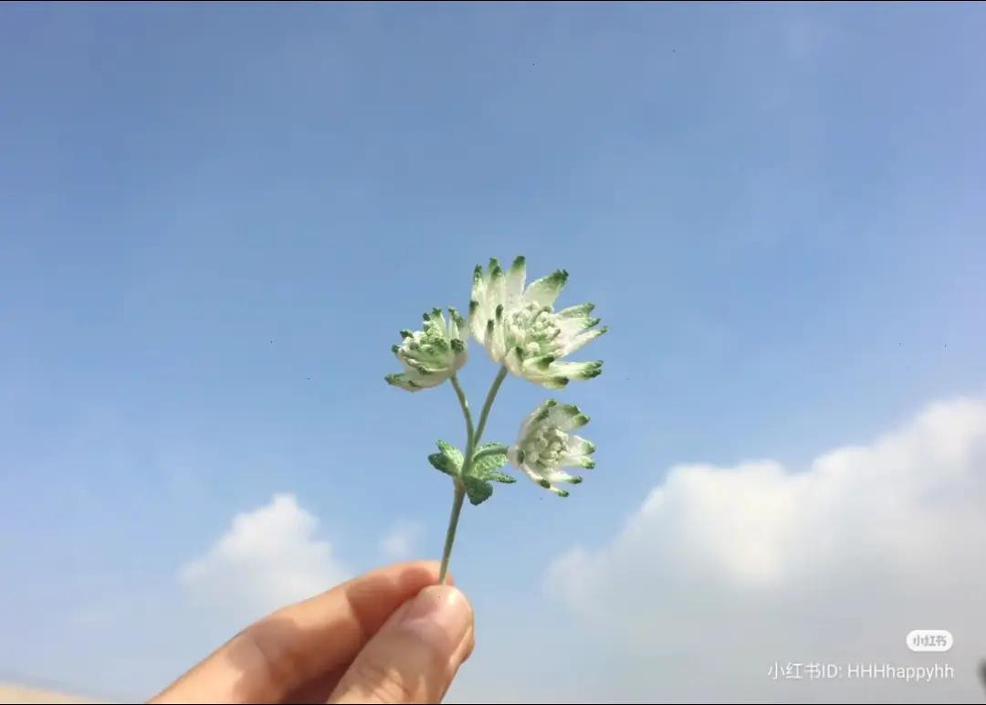 Handmade Crochet Astrantia Major Flower Pattern Chart with Handwritten Instructions and Symbols