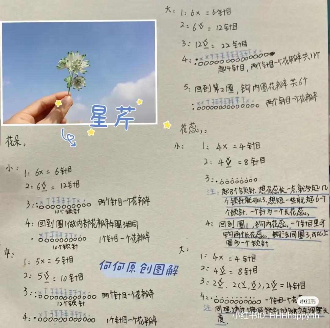 Handmade Crochet Astrantia Major Flower Pattern Chart with Handwritten Instructions and Symbols