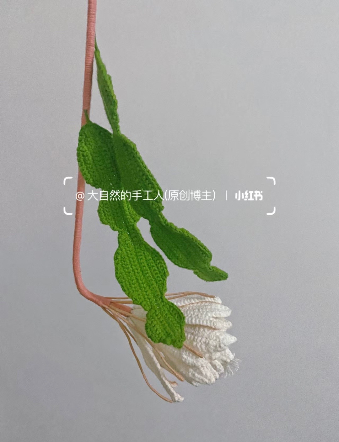 Handmade Crochet Epiphyllum Flower with Green Leaves