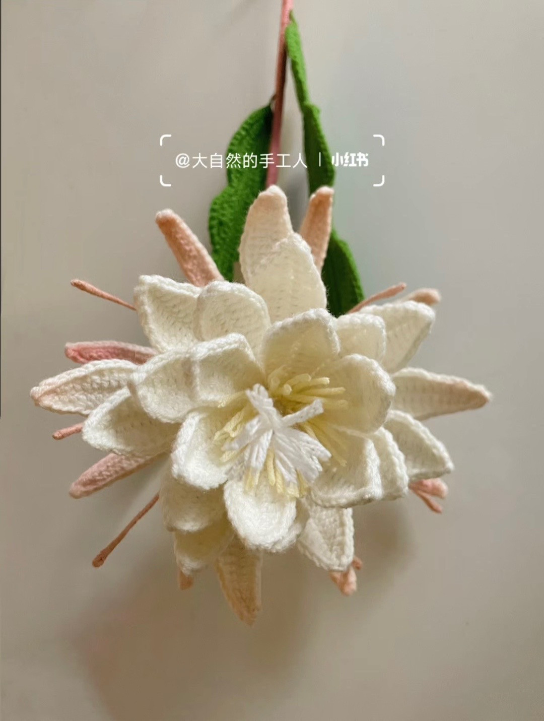Handmade Crochet Epiphyllum Flower with Green Leaves