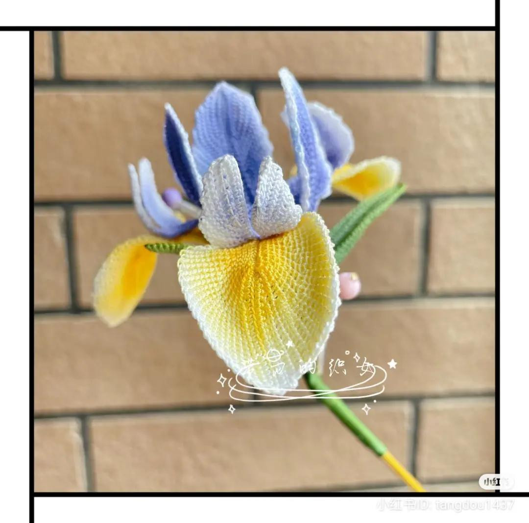 Handmade Crochet Iris Flower Pattern Chart - Detailed Petal Instructions for A, B, and C Types