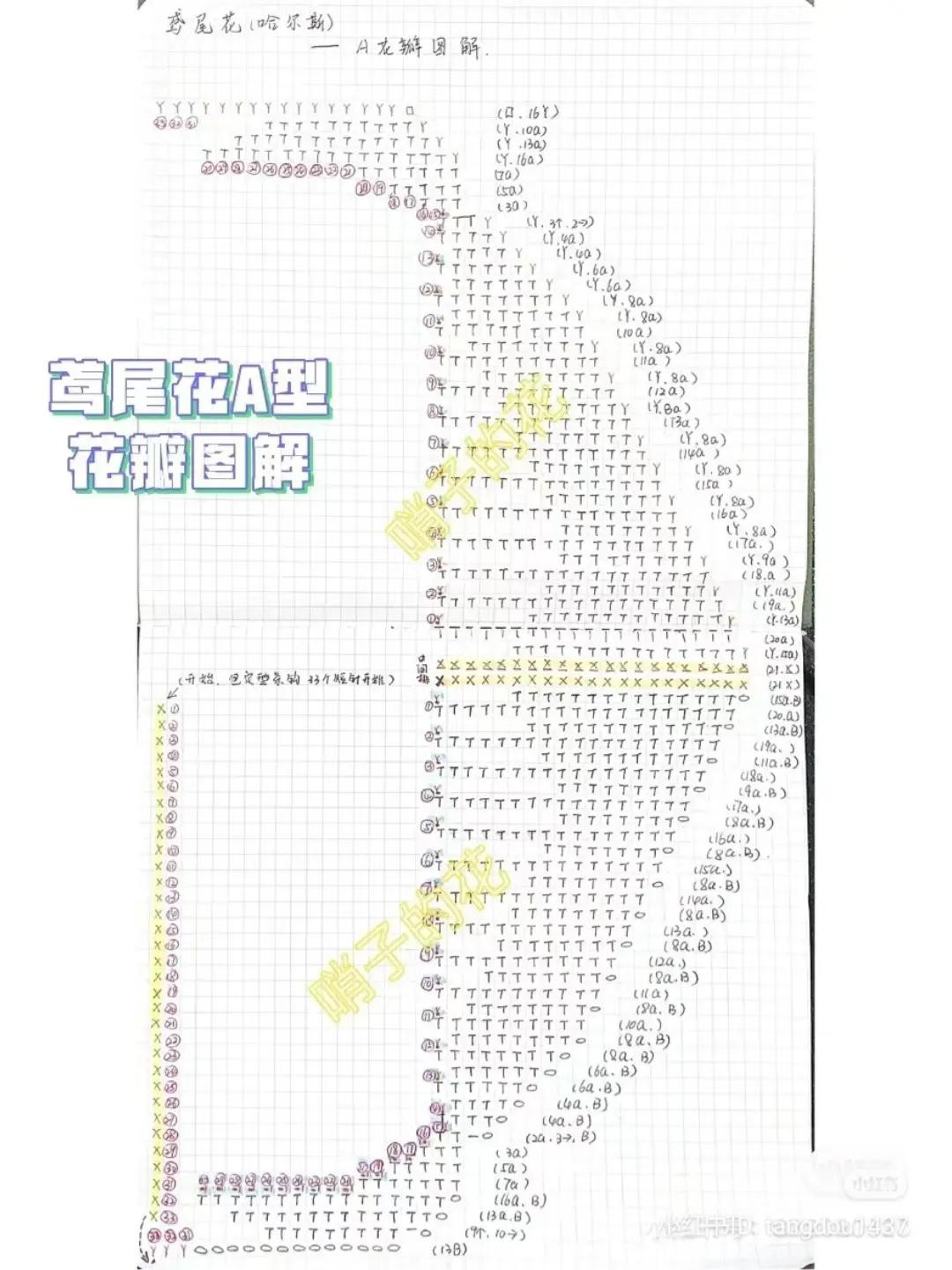 Handmade Crochet Iris Flower Pattern Chart - Detailed Petal Instructions for A, B, and C Types