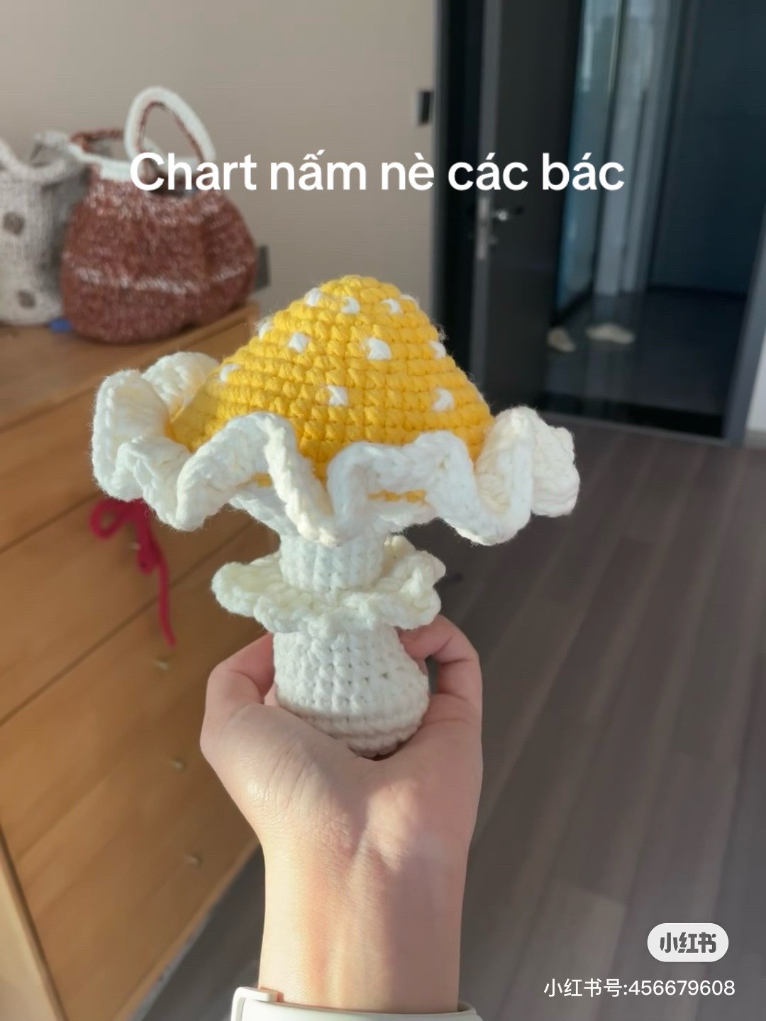 Handmade Crochet Mushroom Chart Pattern