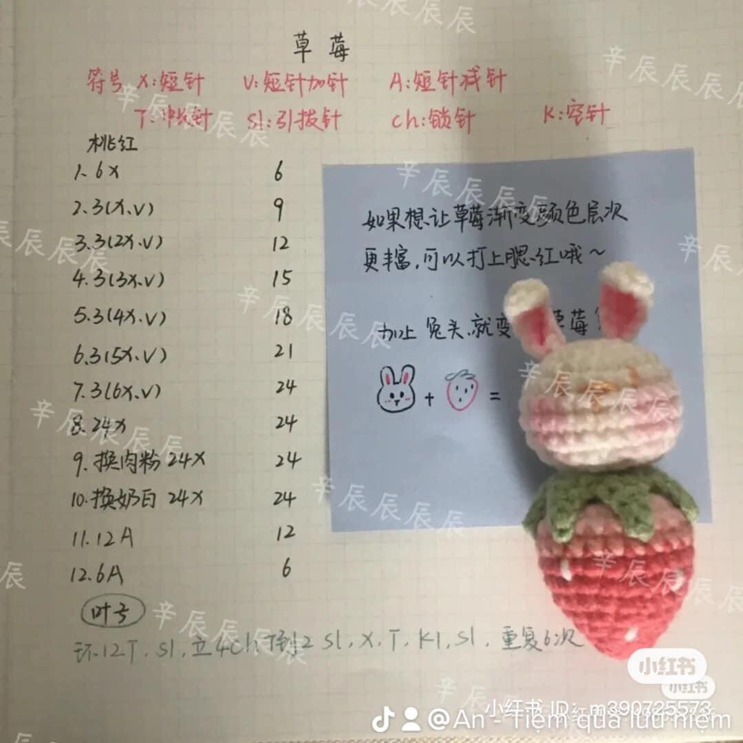 Handwritten Amigurumi Chart for Cute Strawberry Rabbit Doll