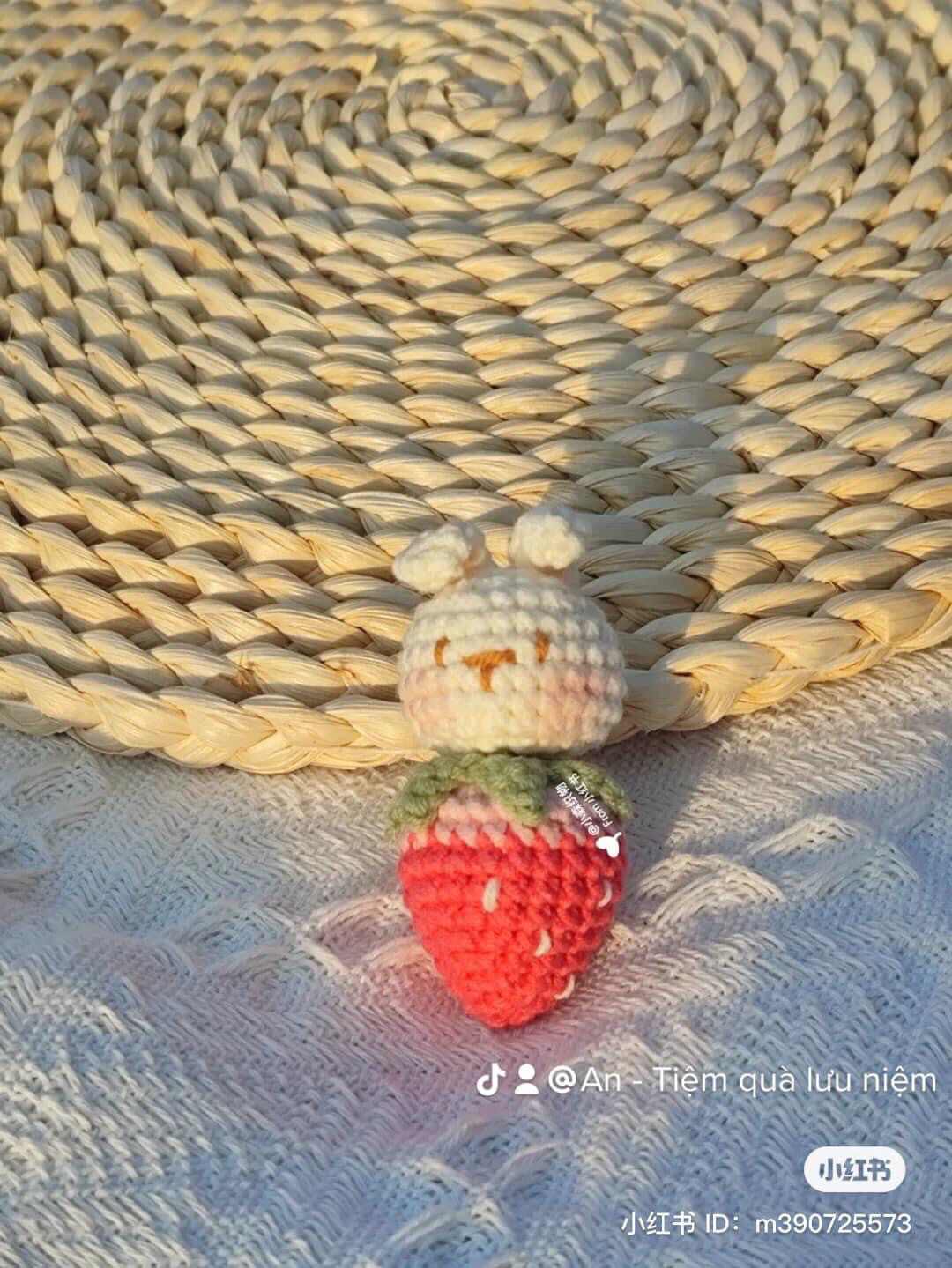 Handwritten Amigurumi Chart for Cute Strawberry Rabbit Doll