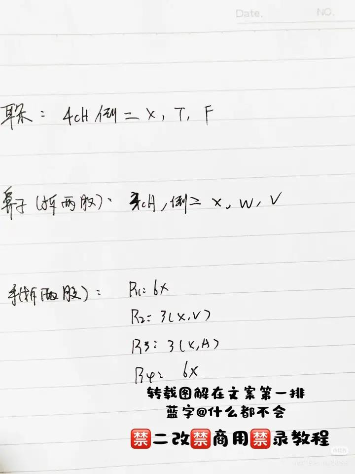 Handwritten Crochet Chart for Cute Pink Pig Amigurumi Doll