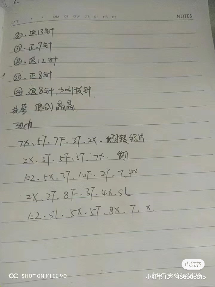 Handwritten crochet chart for pink and white gladiolus flowers