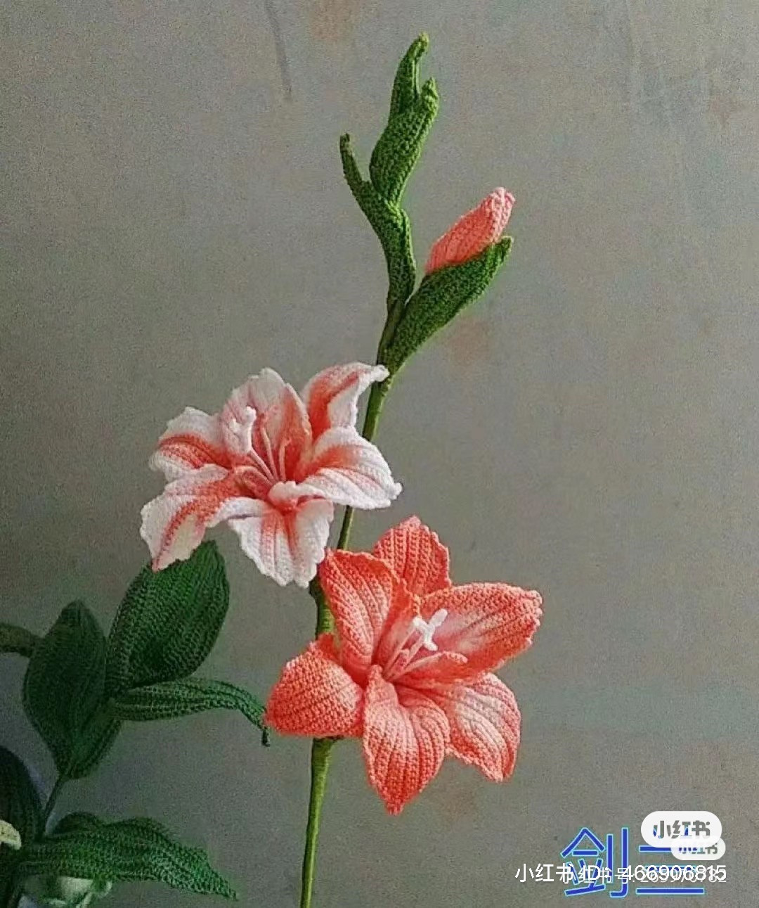 Handwritten crochet chart for pink and white gladiolus flowers