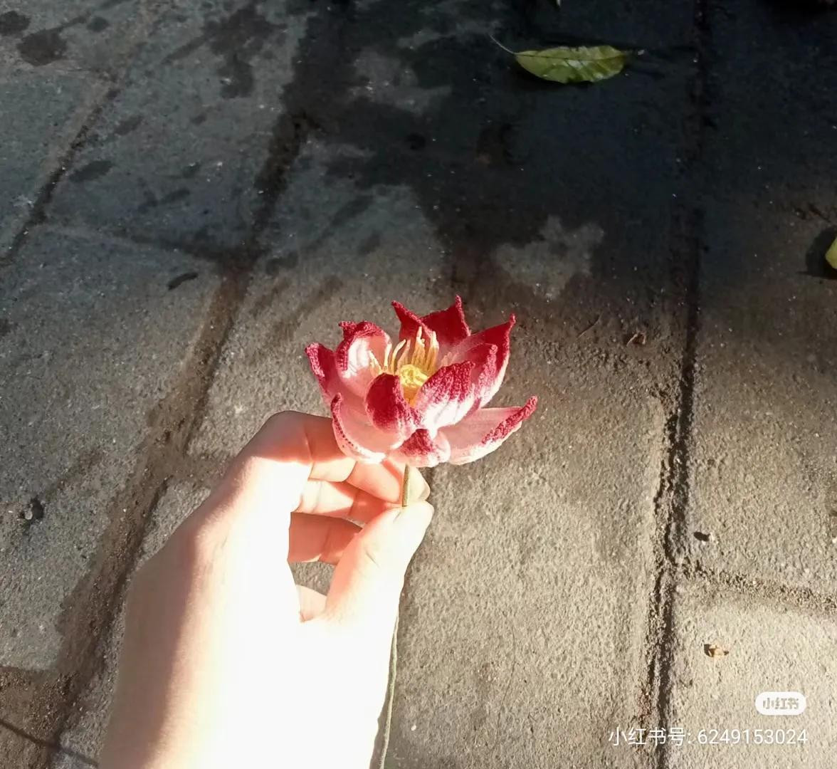 Handwritten Crochet Chart for Pink Lotus Flower Petals