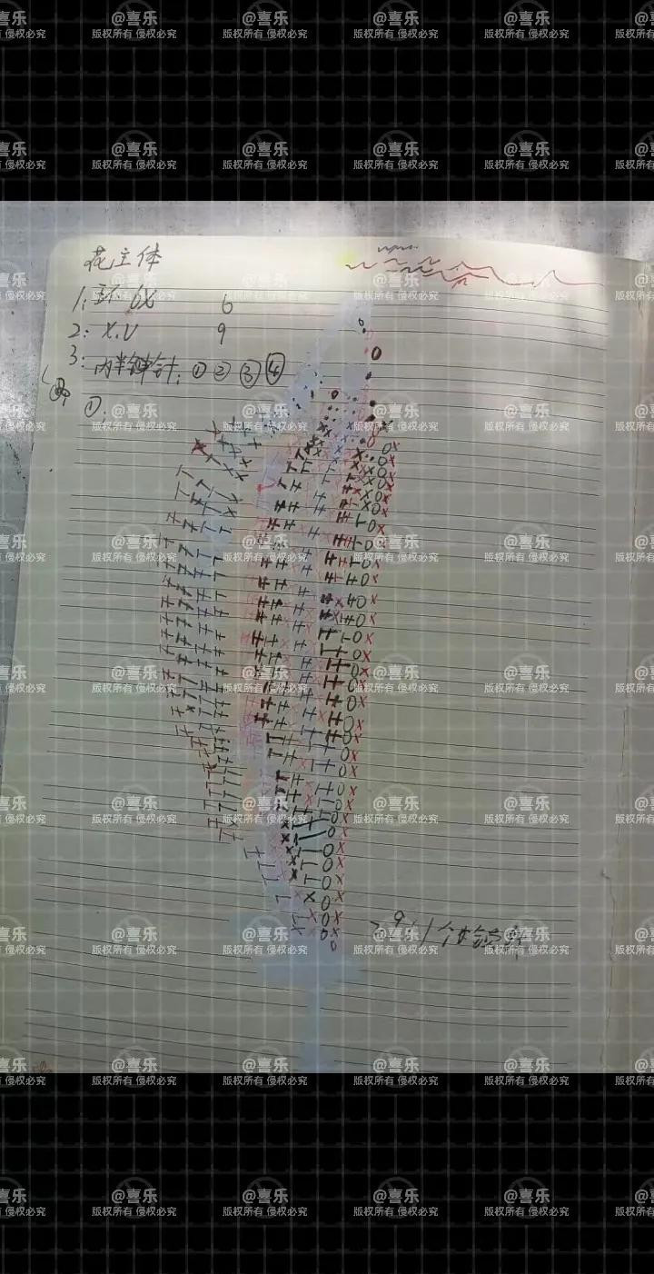 Handwritten Crochet Chart for Pink Lotus Flower Petals