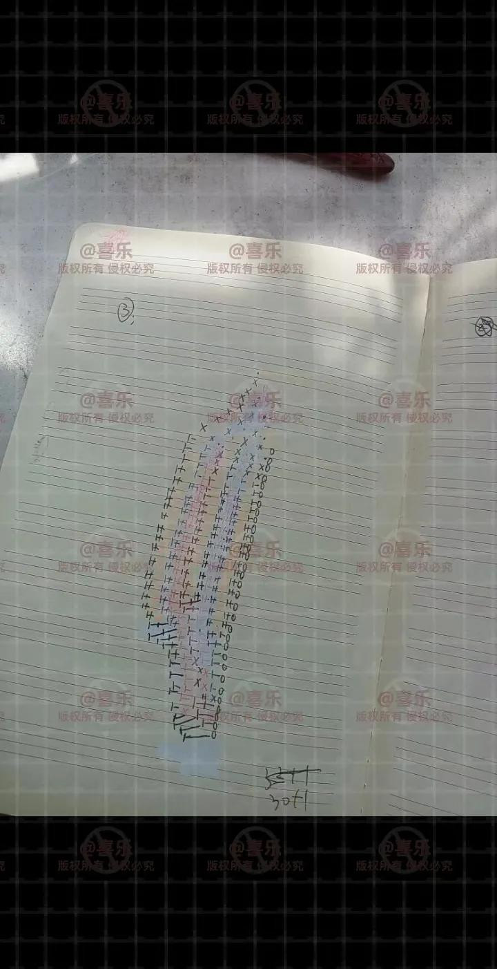 Handwritten Crochet Chart for Pink Lotus Flower Petals