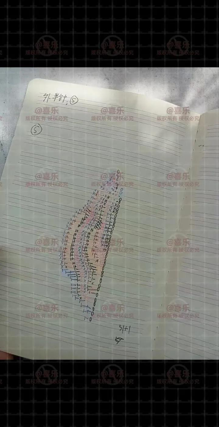 Handwritten Crochet Chart for Pink Lotus Flower Petals