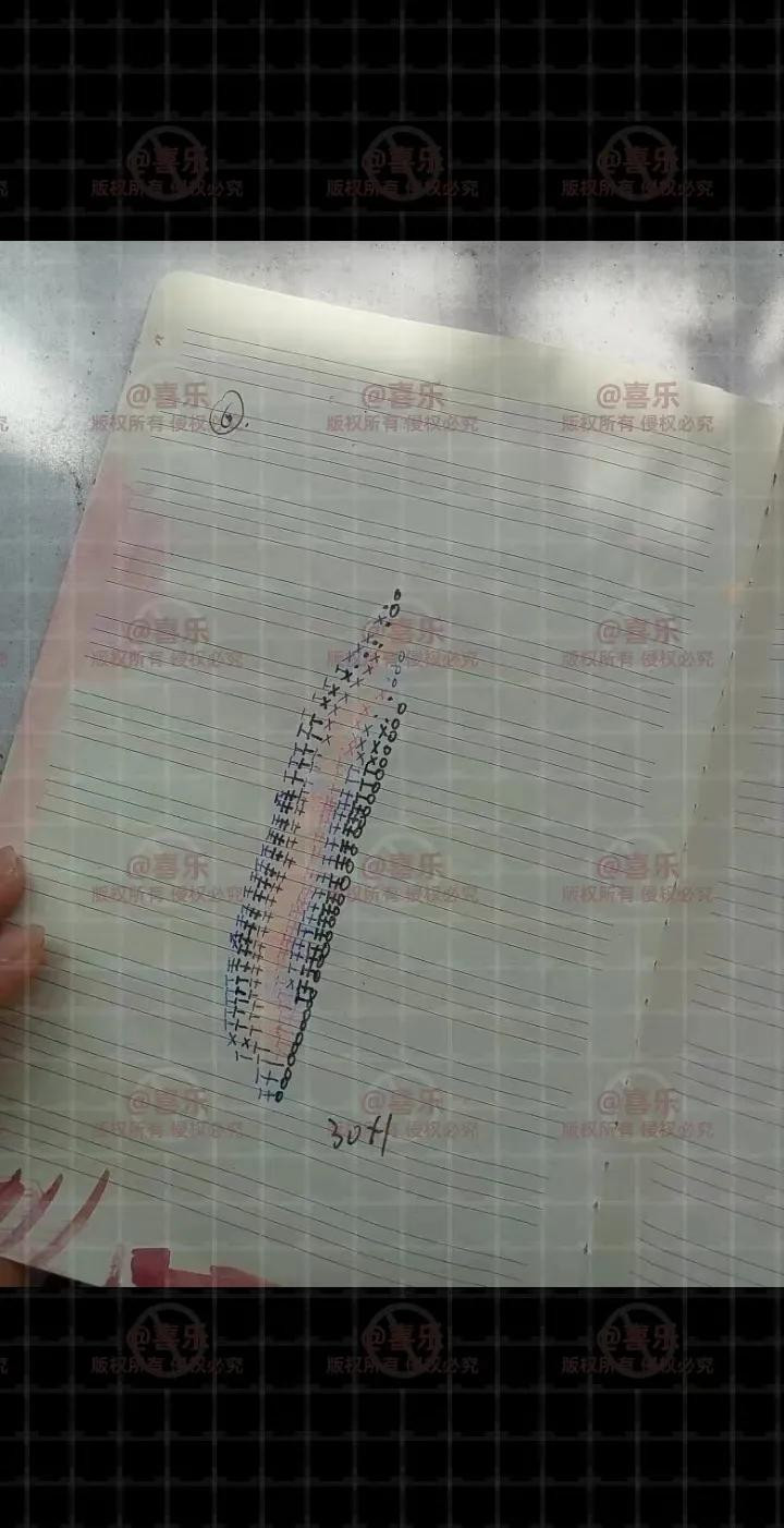 Handwritten Crochet Chart for Pink Lotus Flower Petals