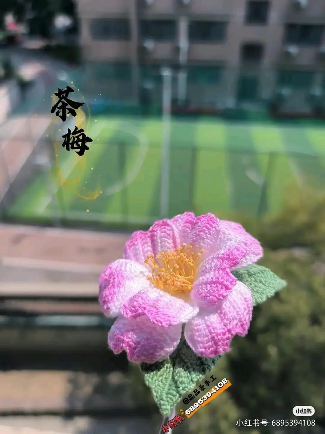 Handwritten Crochet Pattern Chart for Camellia and Anthurium Flowers