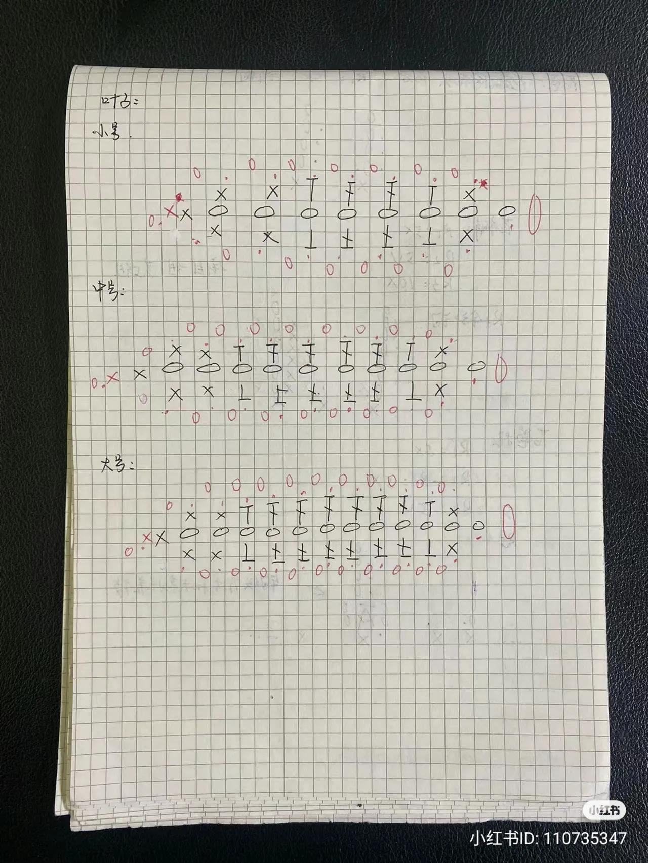 Handwritten Crochet Pattern for Blue and White Flower with Green Leaves