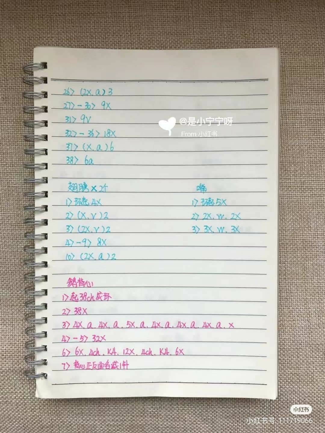 Handwritten Crochet Pattern for Cute Amigurumi Geese with Sweaters