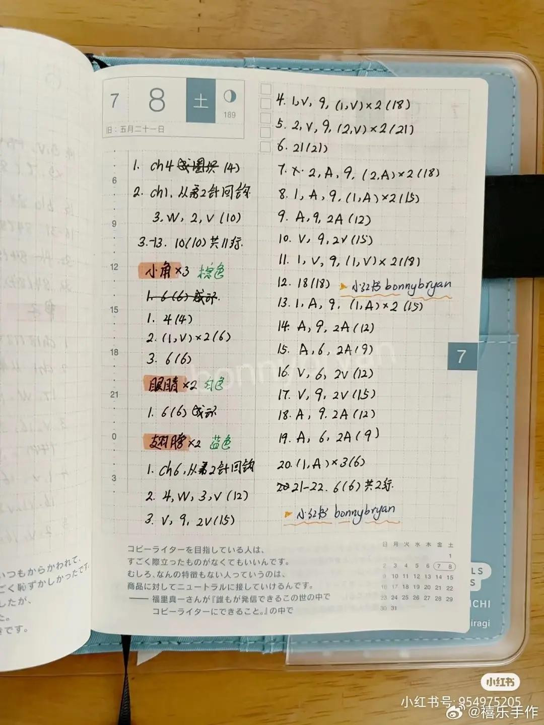 Handwritten Crochet Pattern for Rose Princess and Cat Pot