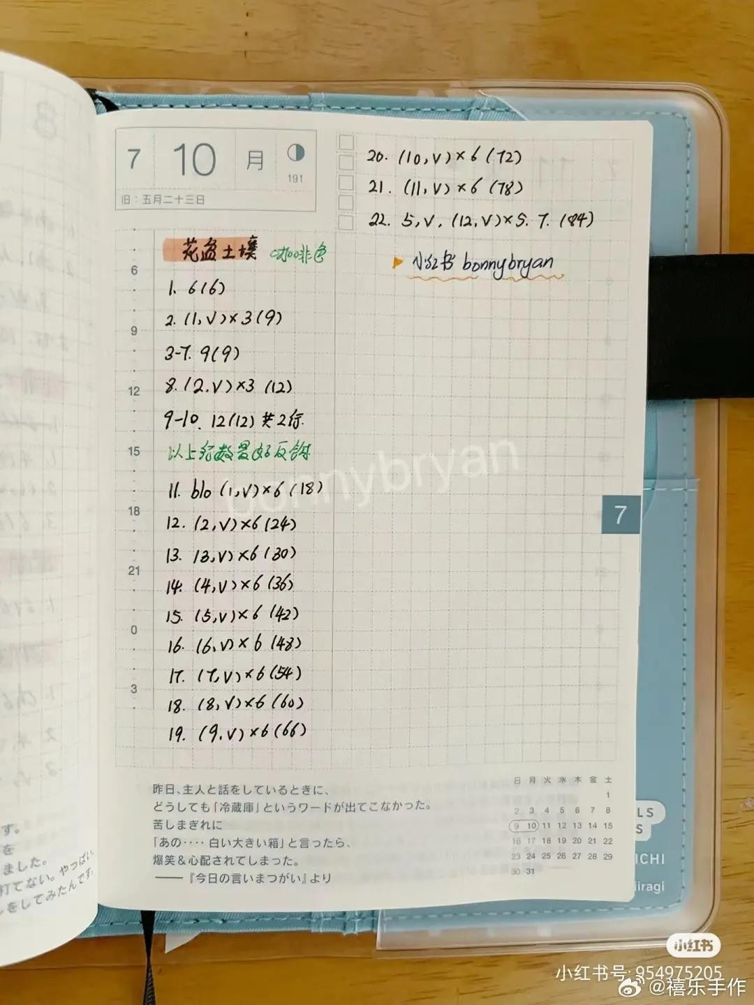 Handwritten Crochet Pattern for Rose Princess and Cat Pot