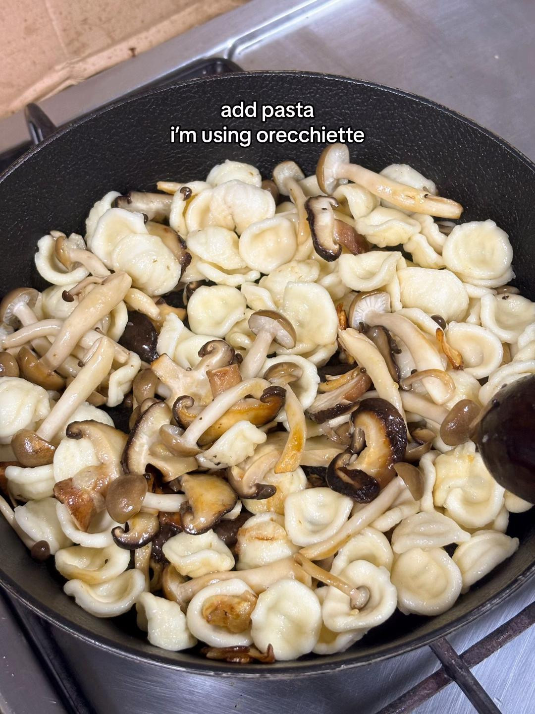 How to make creamy truffle mushroom pasta with orecchiette, shiitake and shimeiji mushrooms