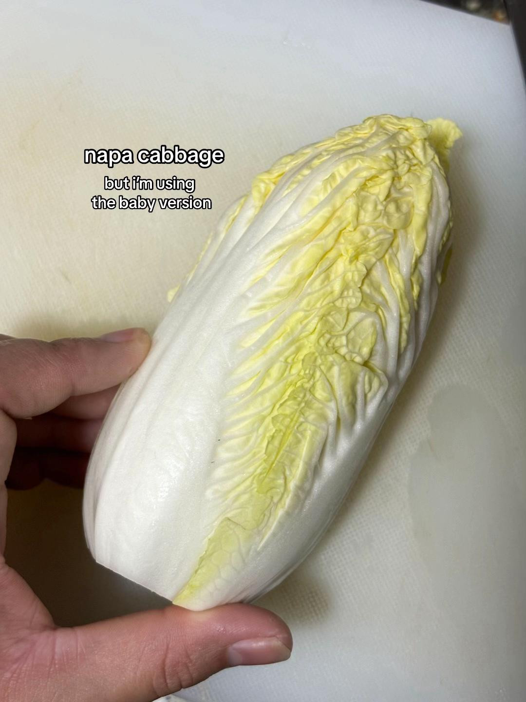 How to make juicy cabbage pork dumplings with napa cabbage and mushroom soup